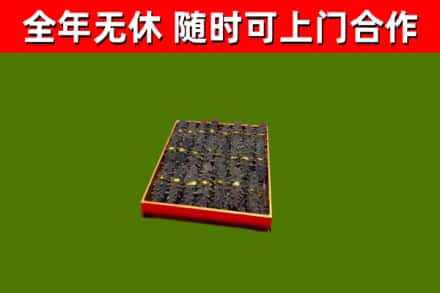 万州区回收海参
